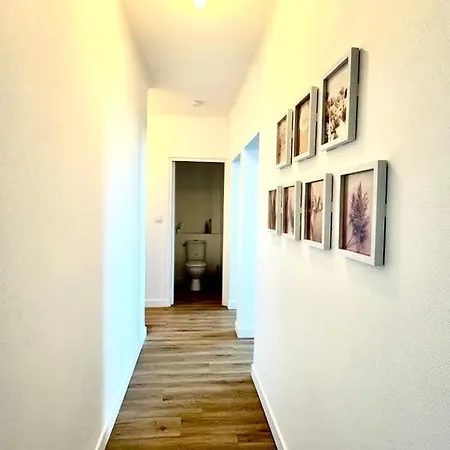 Light & Comfort T2 Cosy Daire Muret