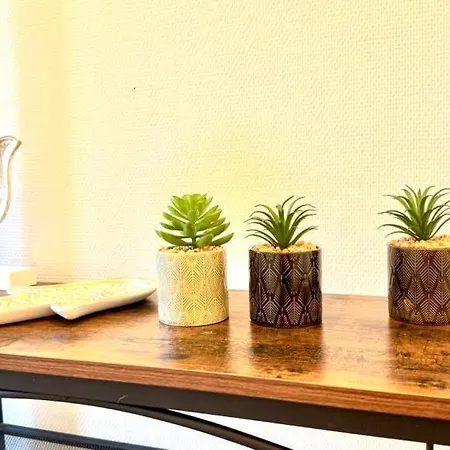 Light & Comfort T2 Cosy