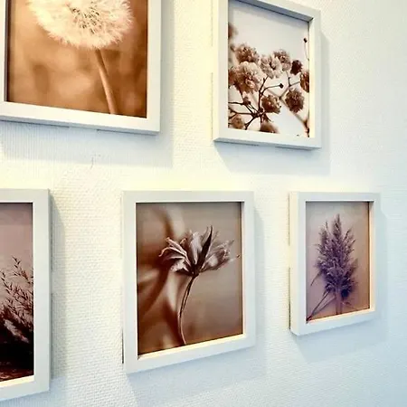 Daire Light & Comfort T2 Cosy *